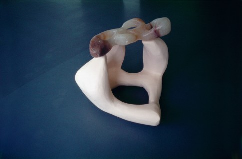 Model for an Unknown Landscape 1985