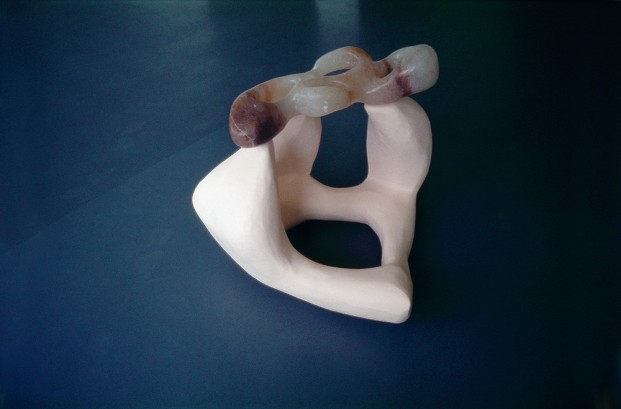 Model for an Unknown Landscape 1985