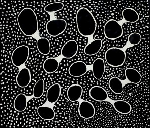 Black Holes White Dots 2010
