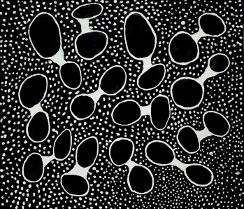 Black Holes White Dots 2010