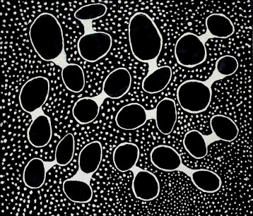 Black Holes White Dots 2010