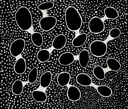 Black Holes White Dots 2010