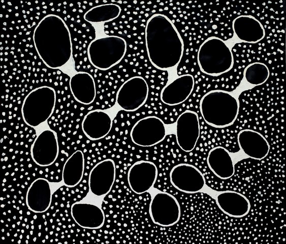 Black Holes White Dots 2010