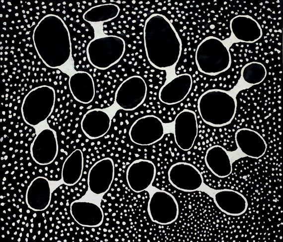 Black Holes White Dots 2010