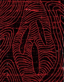 Red Holes 1985