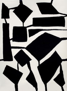 Linked Black Blocks 2013