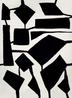 Linked Black Blocks 2013