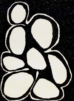 Eight Black Holes 1981