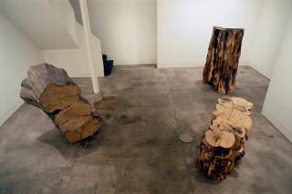 Installation view with Three Wood Block (1978), Thirty Wood Block (1978) and Tall Wood Block (1978), Anthony Stokes Gallery, London, 1979
