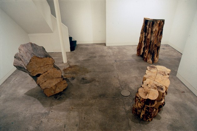 Installation view with Three Wood Block (1978), Thirty Wood Block (1978) and Tall Wood Block (1978), Anthony Stokes Gallery, London, 1979