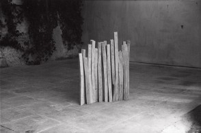 Birch Wood Line 1979