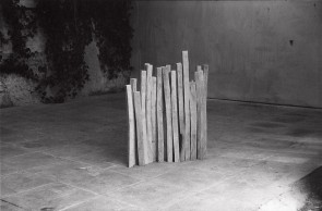 Birch Wood Line 1979