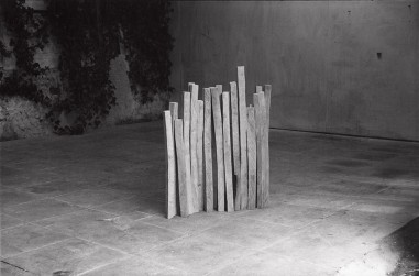 Birch Wood Line 1979