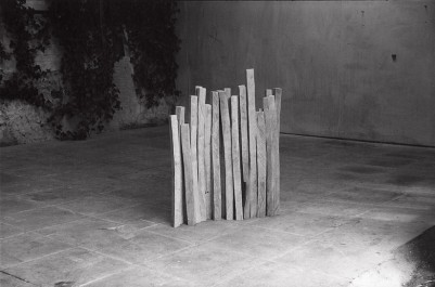 Birch Wood Line 1979