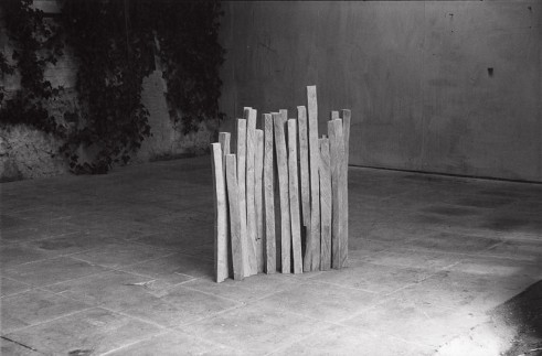 Birch Wood Line 1979