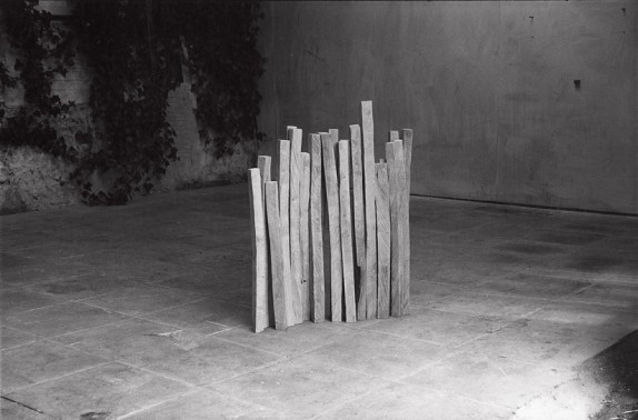 Birch Wood Line 1979