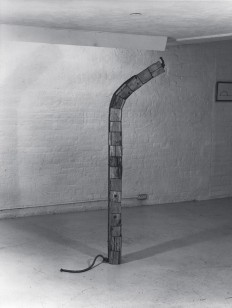 Drooping Column 1975
