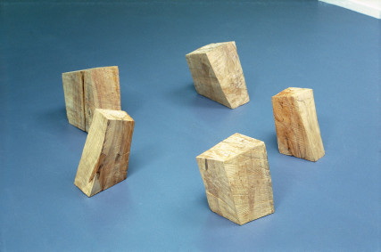 Five Odd Woods 1978