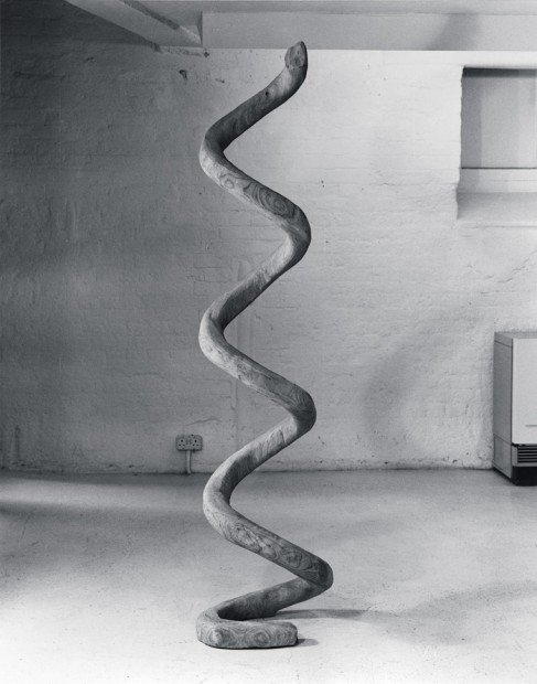 Elm Wood Column 1974–75